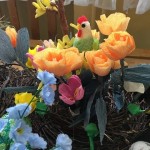 IMG_5725[1]