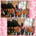 thumbnail_Image (1)