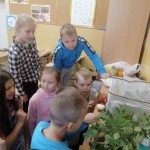 IMG_20220922_083658