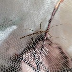 IMG_20221007_094153