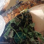 IMG_20221007_094340