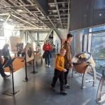 IMG-20221017-WA0036