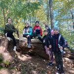 f3f26845-da8a-4f91-8036-5f4173cfce52