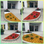 702364378_1435051571756831_4839557867767440886_n
