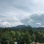 IMG_4529